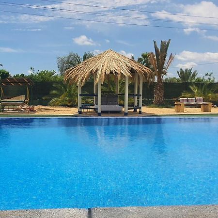 Casadelfenix Hotel Crevillente Buitenkant foto